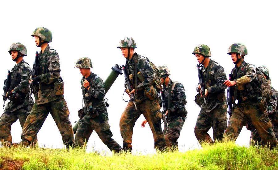 陆军兵种，多样性与战略价值，陆军兵种，多样性与战略价值解析