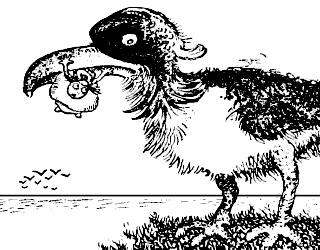 武直9与武直10,中国直升机技术的飞跃,中国直升机技术的飞跃,武直9与武直10的崛起