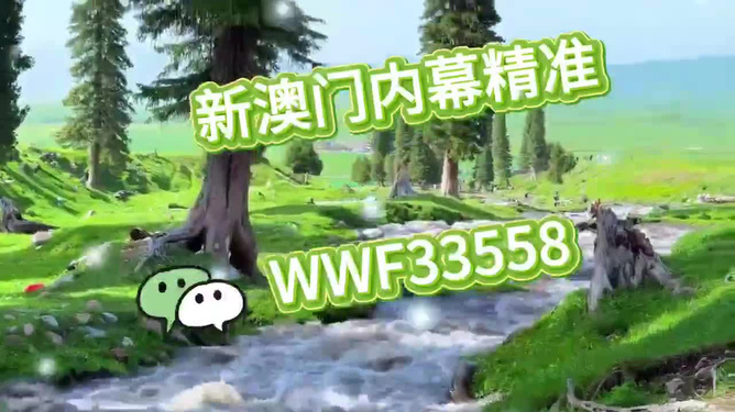 王中王与澳门特肖一马，探索与解读，王中王与澳门特肖一马，深度探索与解读