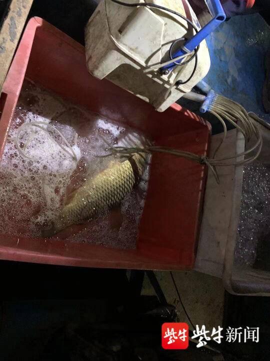 快艇价格一览表,从入门到高端的全面解析,快艇价格大全,入门到高端全面解析