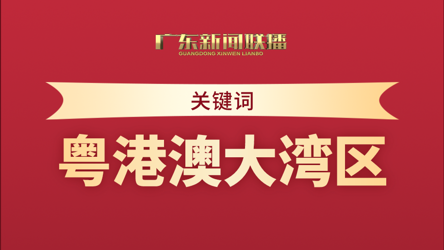 深圳最近新闻大事概述，深圳最新新闻大事概述，聚焦城市动态与热点话题