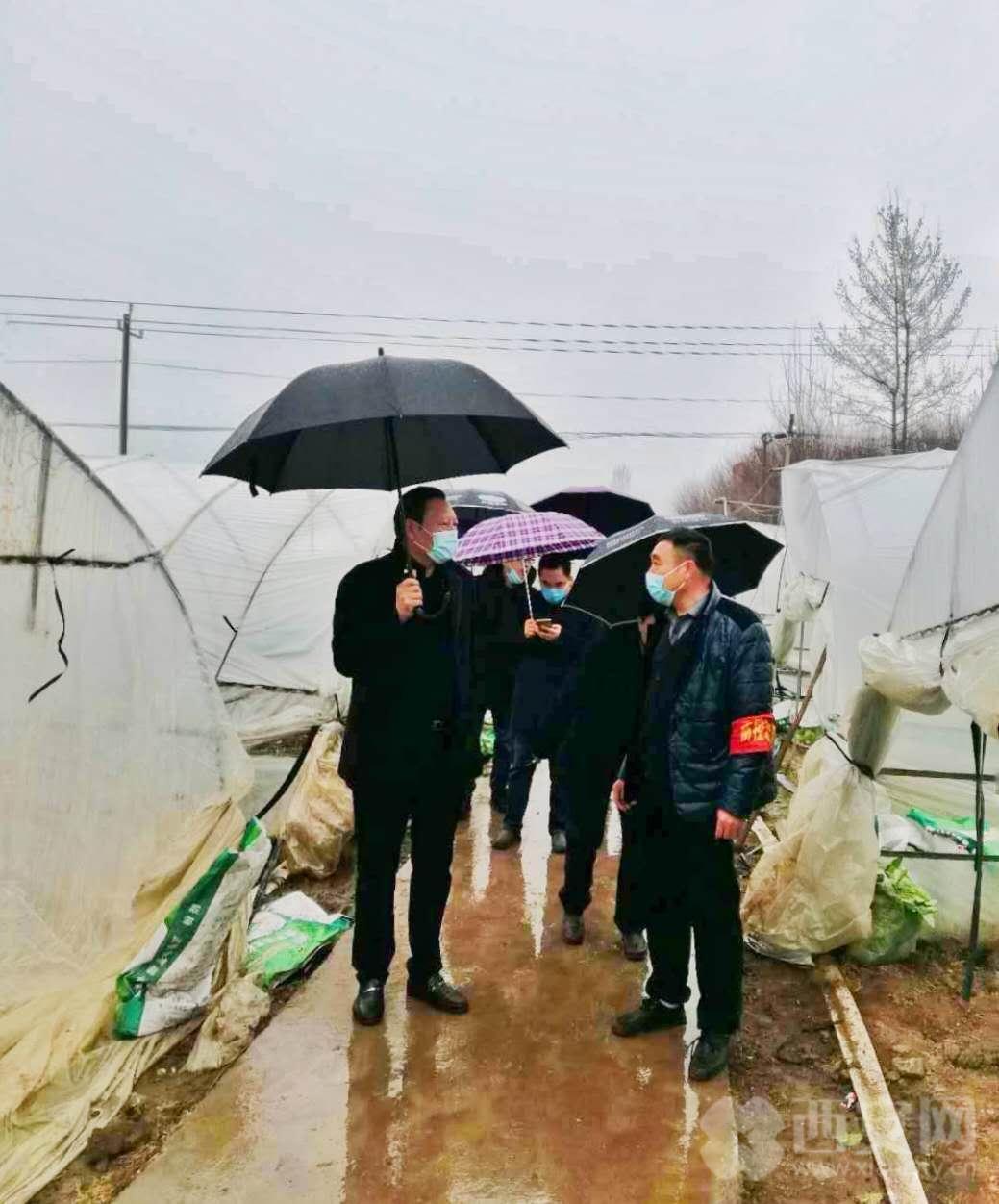 中央7台