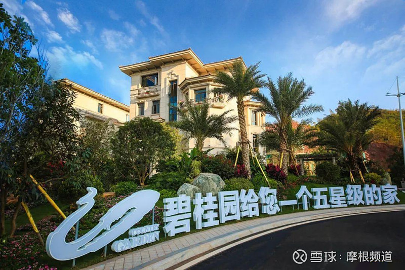 碧桂园最新消息今日头条新闻报道,碧桂园最新动态,今日头条新闻报道摘要