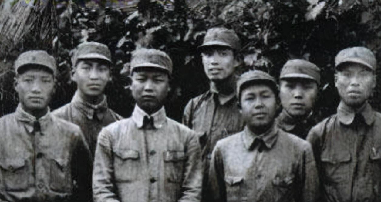 级别