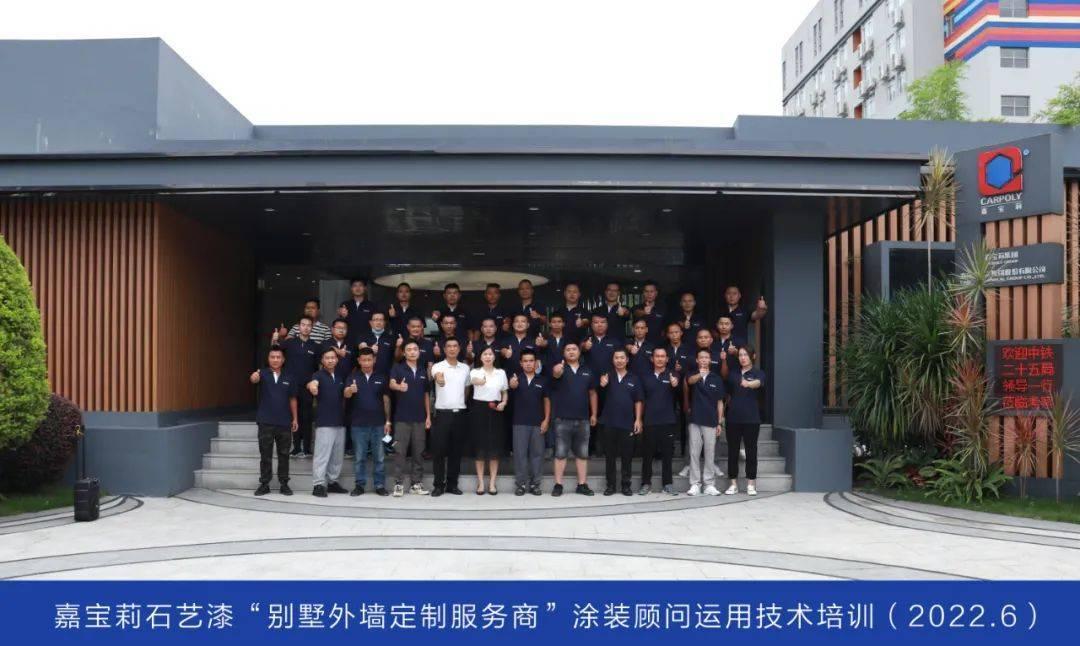 歼15战斗机涂装，探索中国空军新一代舰载战斗机的涂装艺术，中国新一代舰载战斗机歼-15战斗机的涂装艺术探索