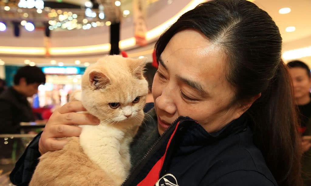 探索李富华少将的军旅生涯与卓越贡献——来自中国人民解放军第21军的杰出将领，李富华少将，中国人民解放军第21军的杰出将领与军旅生涯的卓越贡献