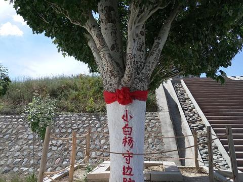 哨所的人员配置，几人一班，如何运作？，哨所人员配置详解，班组运作与人员配置模式探讨