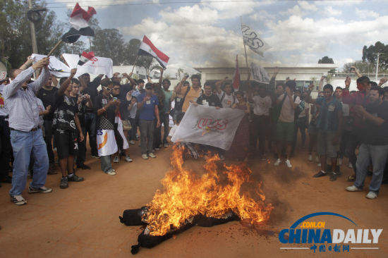 角色与贡献解析