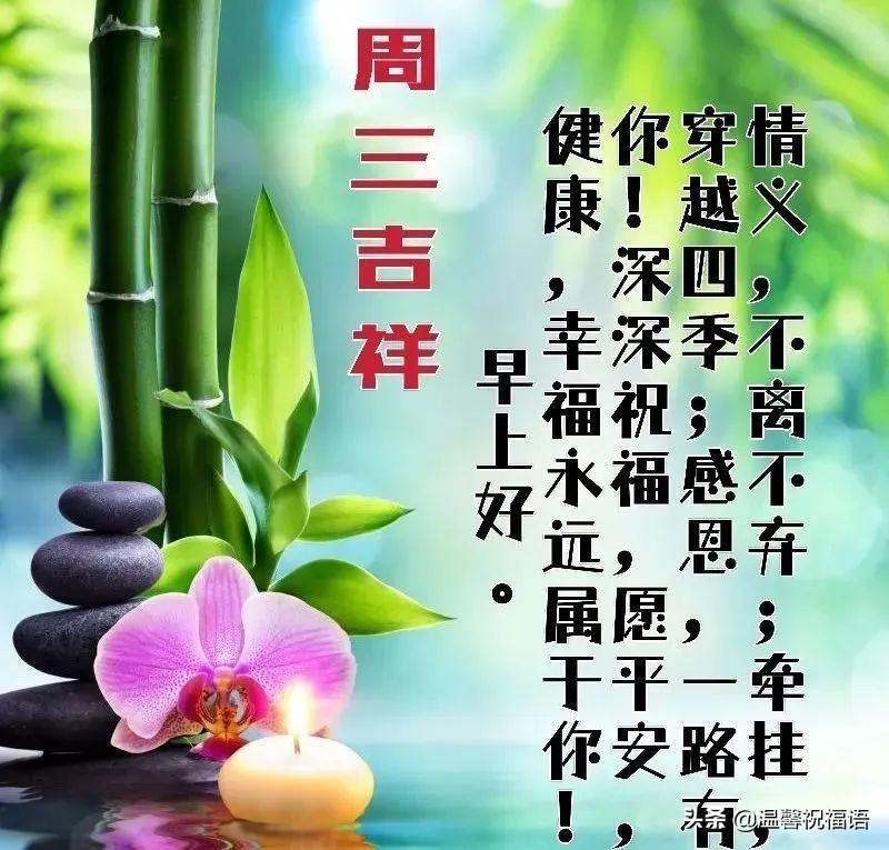 国际新闻概览