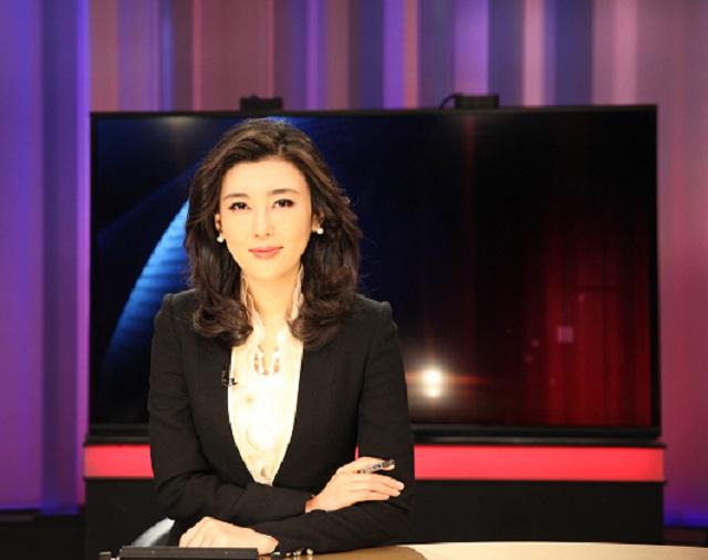 海峡两岸，CCTV4中文国际频道下的深度对话与交流，CCTV4深度对话，海峡两岸的交流与对话