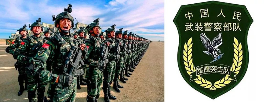 罗衍威与中国人民武装警察部队特种警察学院的辉煌篇章，罗衍威与武警特种警察学院的辉煌历程