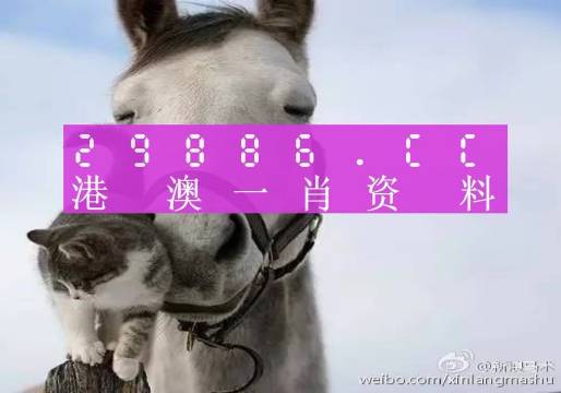 澳门老鼠报一肖一码，揭秘背后的神秘文化现象，澳门老鼠报一肖一码背后的神秘文化现象揭秘