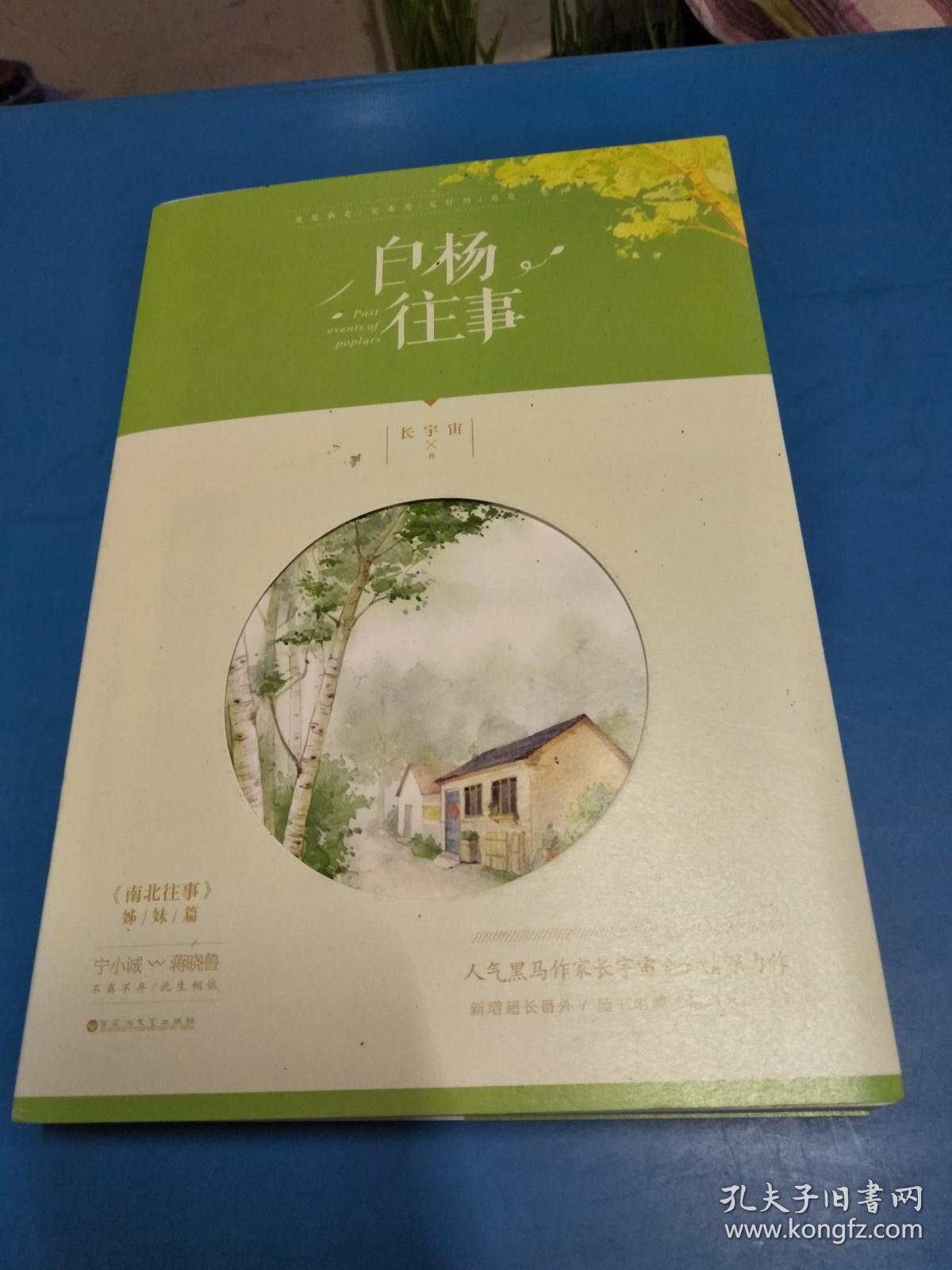 白杨往事,回忆中的坚韧与成长,白杨往事,坚韧与成长的回忆之旅