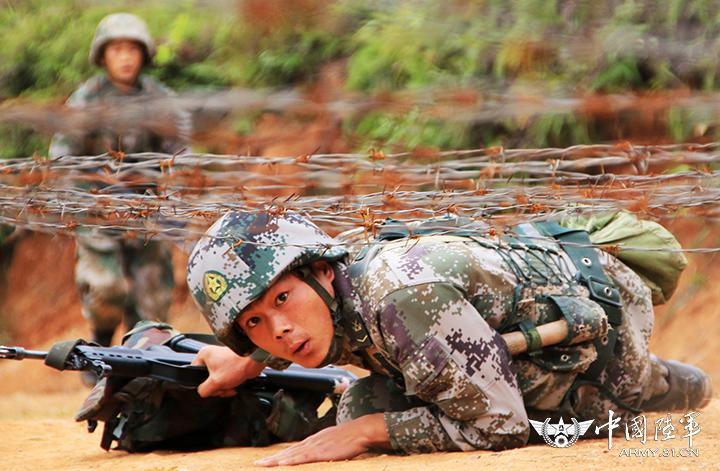 揭秘中国人民解放军陆军第31集团军的历史与现状,中国人民解放军陆军第31集团军历史与现状揭秘