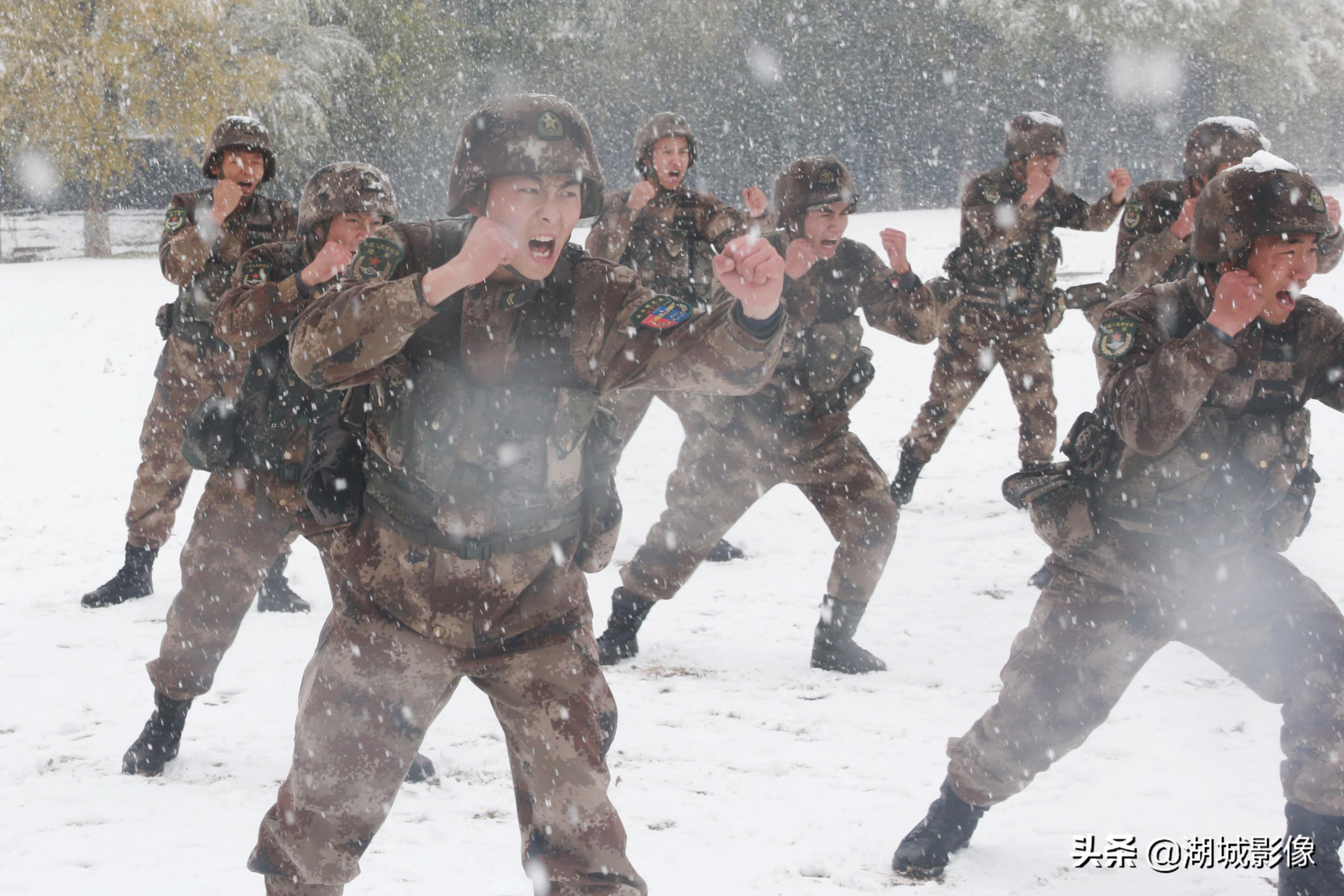 揭秘中国人民解放军陆军第31集团军的历史与现状,中国人民解放军陆军第31集团军历史与现状揭秘
