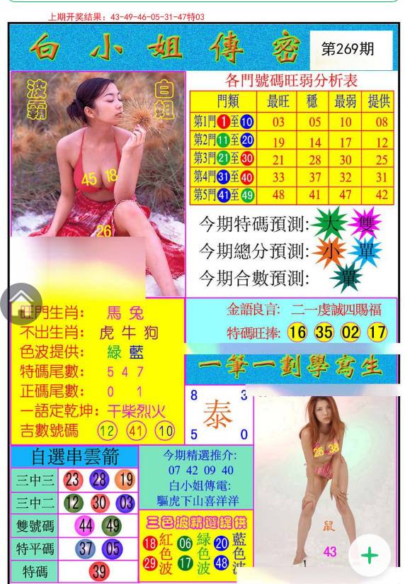 王中王白小姐与一肖开奖的神秘传奇，王中王白小姐与神秘一肖开奖传奇