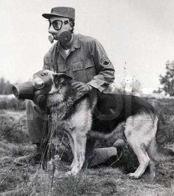 抗战时期中国空军装备研究,抗战时期中国空军装备深度研究