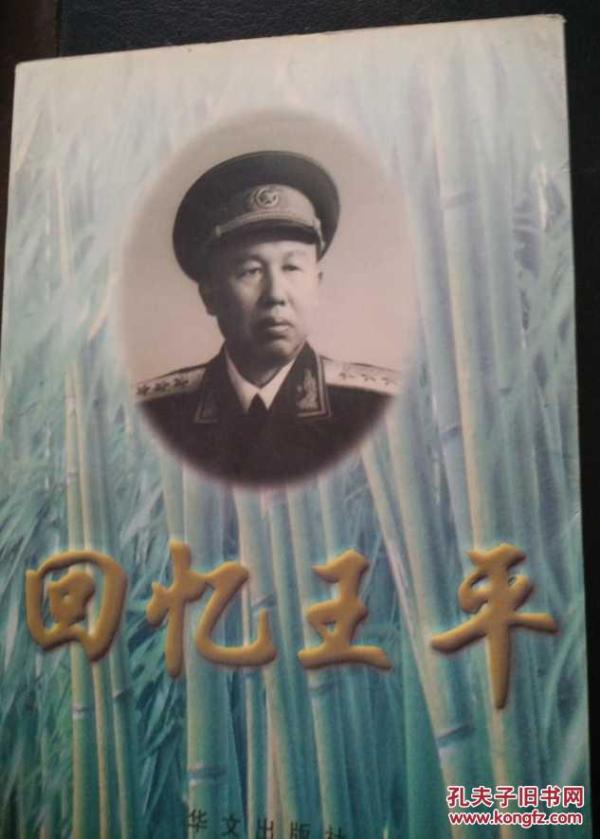 王中王平特一肖周大，探寻背后的故事与意义，揭秘王中王平特一肖周大背后的故事与深层含义