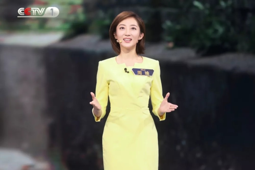 军事频道主持人名单大全及其角色解析,军事频道主持人名单大全与角色深度解析