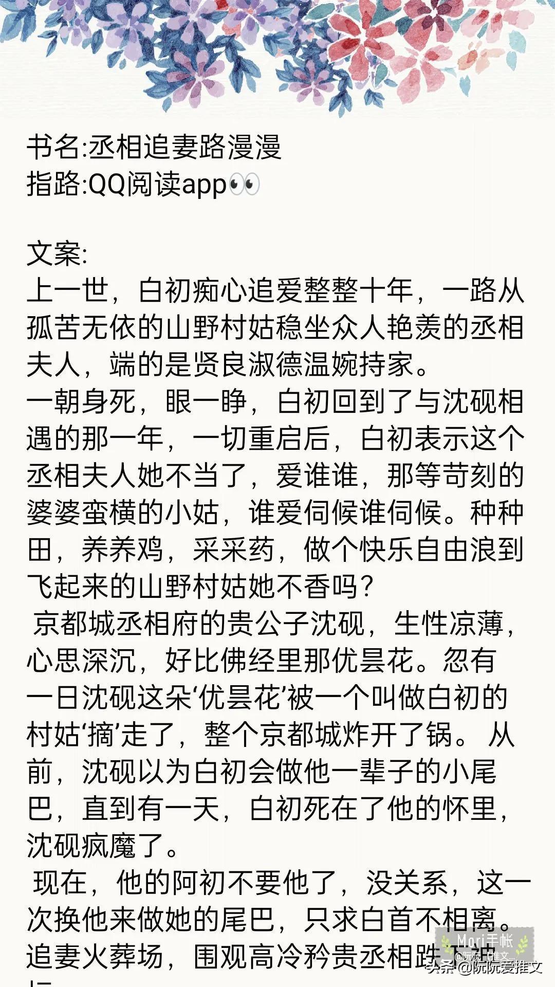 丞相今天火葬场了吗?——历史与现代交织的思考,丞相与现代视角下的历史思考,火葬场背后的时代变迁