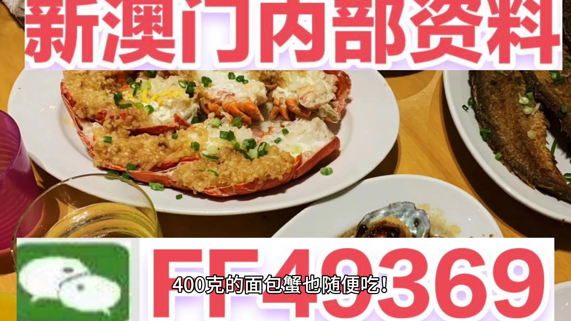 新澳门内部资料精准大全，深度探索与解读，澳门内部资料深度解读与探索秘籍