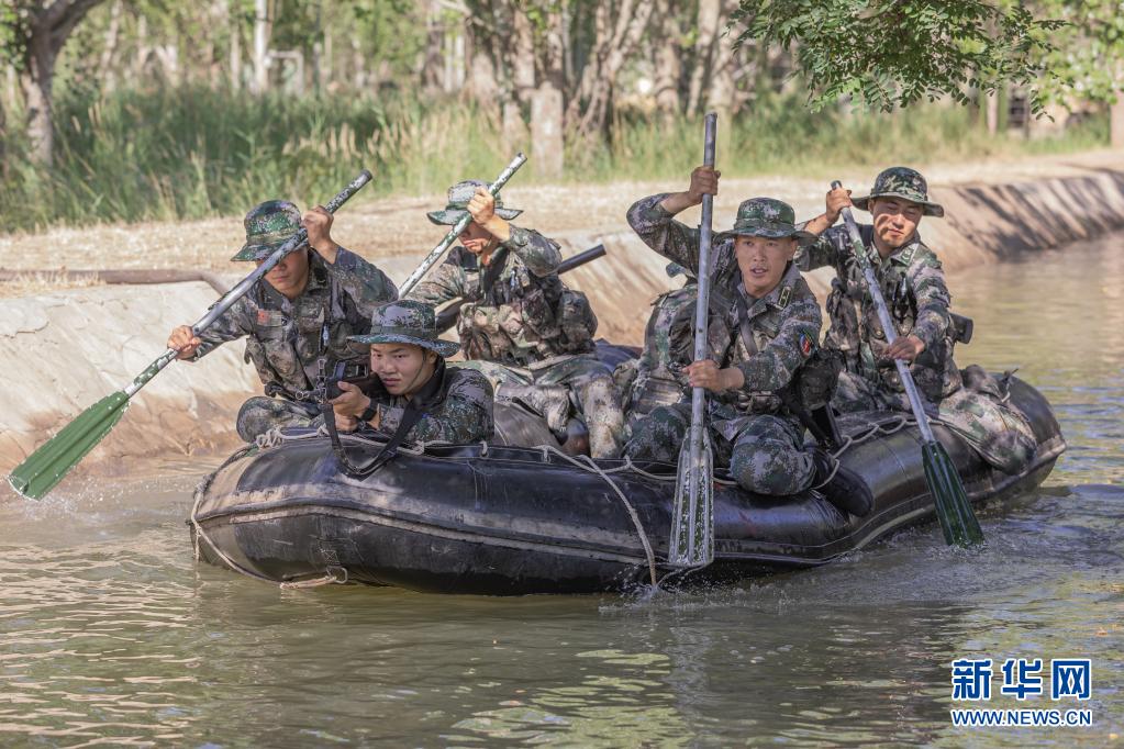 丛林虎特战旅,锻造精锐之师的传奇之旅,丛林虎特战旅,锻造精锐之师的传奇征程