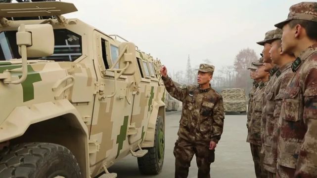 丛林虎特战旅,锻造精锐之师的传奇之旅,丛林虎特战旅,锻造精锐之师的传奇征程
