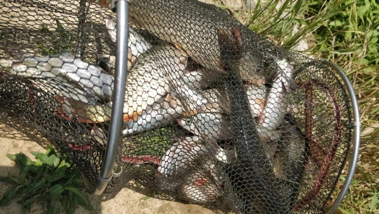 中国空军建立时间,历史沿革与未来发展,中国空军,建立历程、历史沿革与未来展望