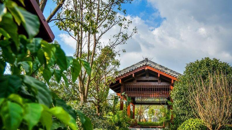 泉州旅游攻略，探索千年古城的魅力，泉州旅游攻略，探寻千年古城之魅力