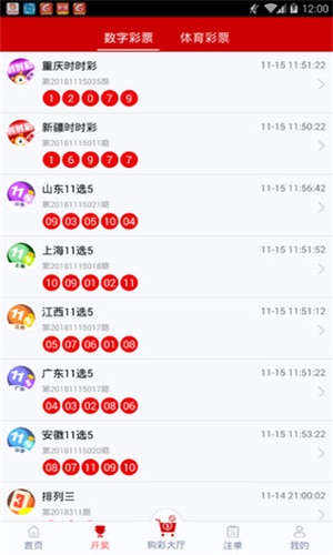 新奥王中王开奖，探索数字世界的神秘与魅力，新奥王中王开奖，数字世界的神秘魅力探索