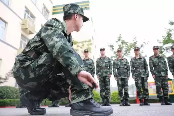 武警体能训练服短袖换装，新时代军需的新篇章，武警体能训练服短袖换装，开启新时代军需新篇章