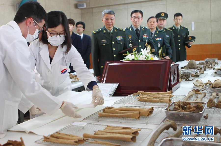 志愿军遗骸分批安置的原因分析，志愿军遗骸分批安置的原因深度解析