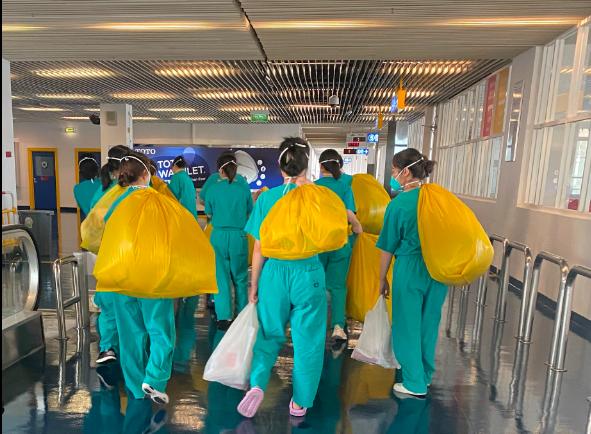 十码奥秘（或解析十码奥秘）