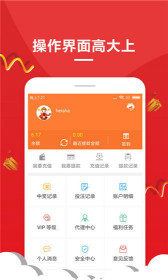 王中王中一肖，传奇与荣耀的交织，传奇与荣耀的交织——王中一肖的历程