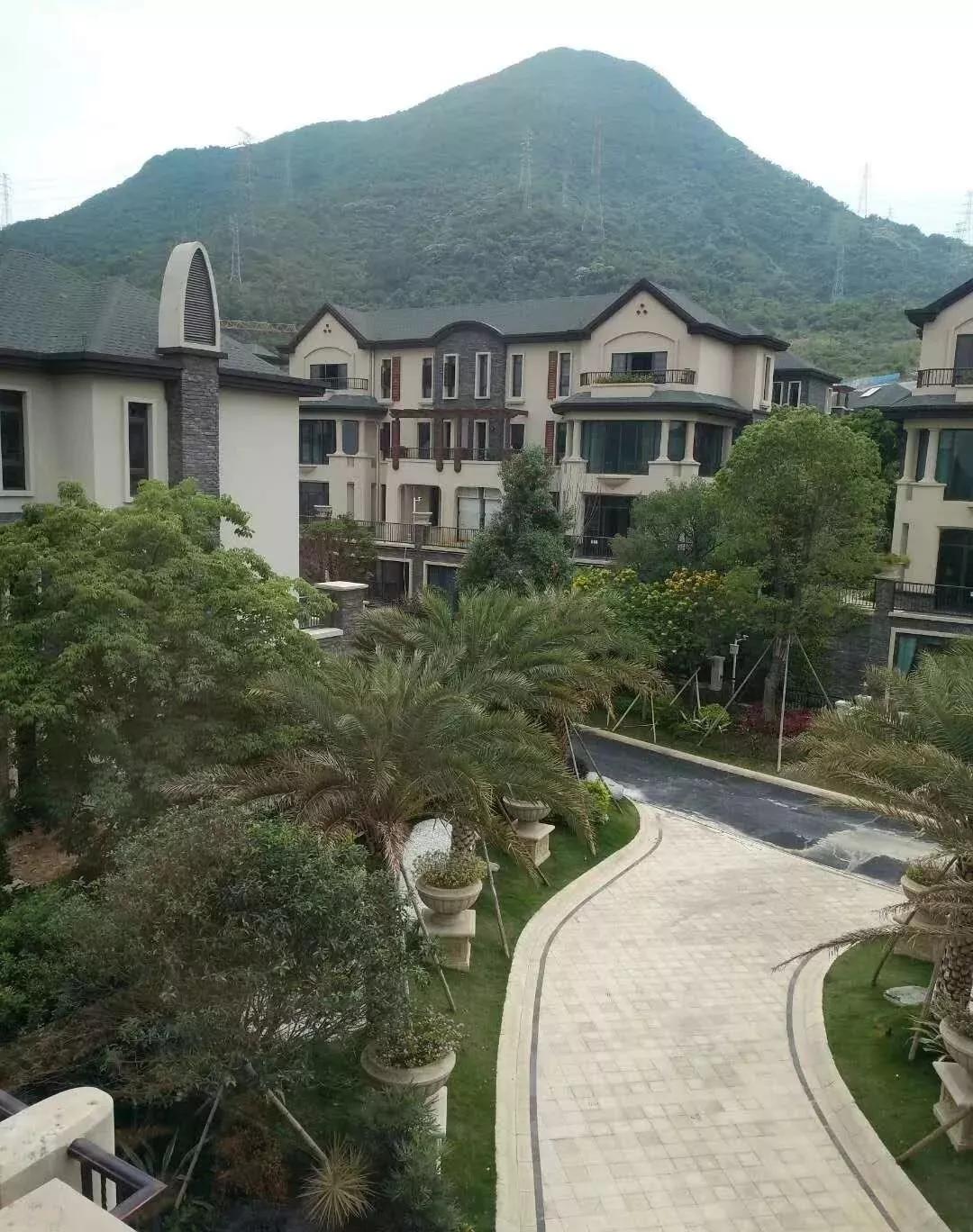 探索澳门彩票文化，2004新澳门天天开好彩大全的独特魅力，澳门彩票文化深度解析，新澳门天天开好彩的魅力探索
