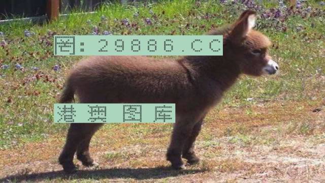 王中王四不像一肖图必中