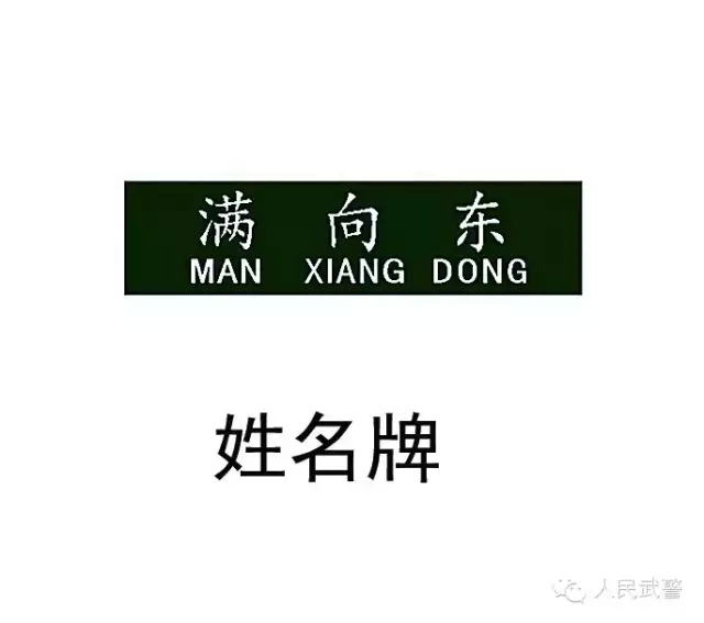 国宾护卫队臂章高清，荣耀的象征与职责的彰显，国宾护卫队臂章高清，荣耀与职责的象征