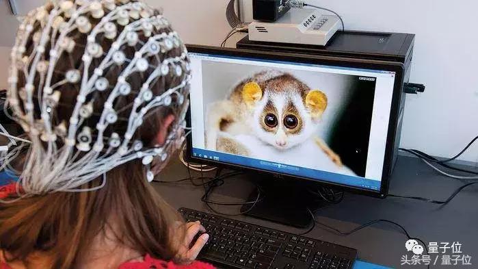 揭秘神秘的九开头部队代号背后的故事,揭秘九开头部队代号背后的神秘故事