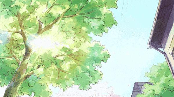 今天是夏至吗?探寻夏至的意义与魅力,夏至探寻,意义与魅力的揭晓