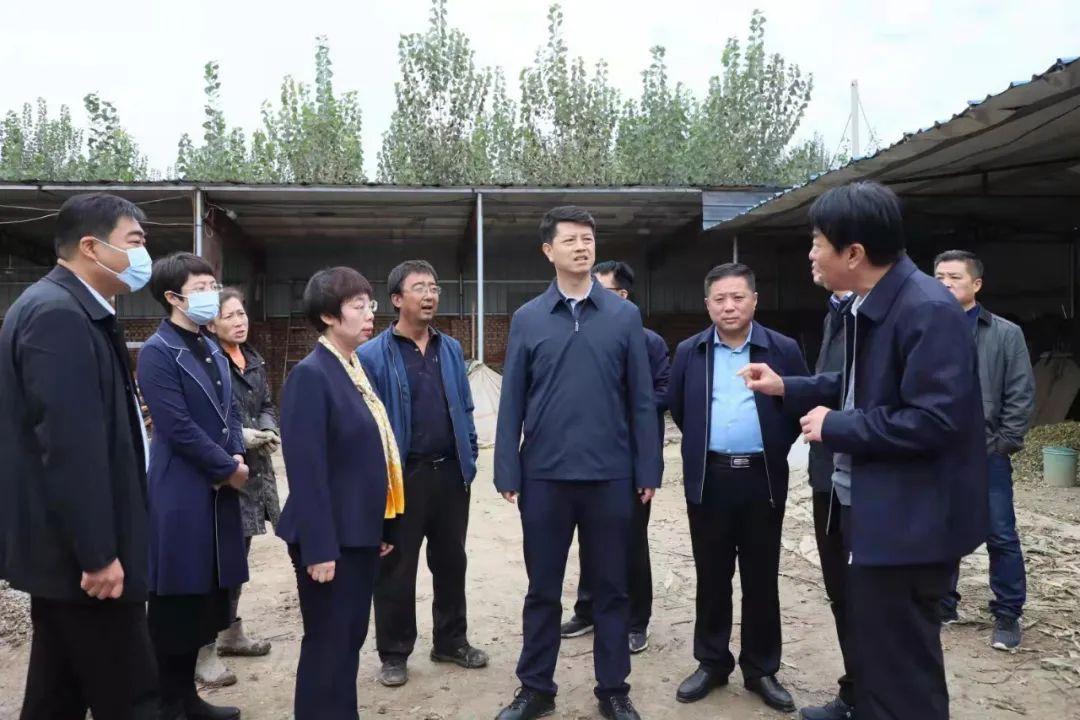 今日头条新闻APP下载与安装——手机版使用指南，今日头条新闻APP手机版下载、安装及使用指南