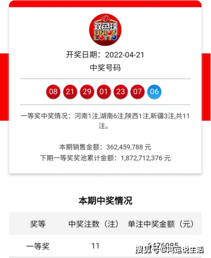 王中王一肖中特开奖结果——深度分析与观察，王中王一肖彩票开奖结果深度分析与观察