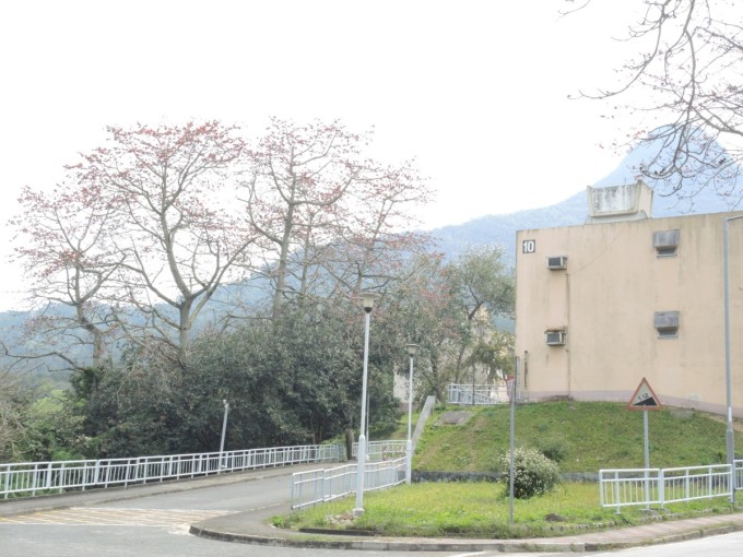 石岗军营大门，历史、象征与荣耀的交汇点，石岗军营大门，历史、象征与荣耀的交汇之处