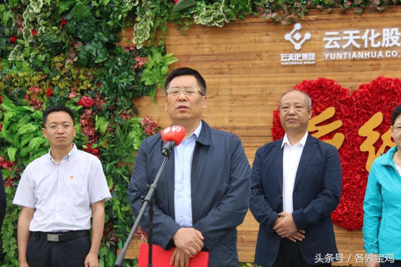 央视七套女主持人风采展示,央视七套女主持人魅力风采展示