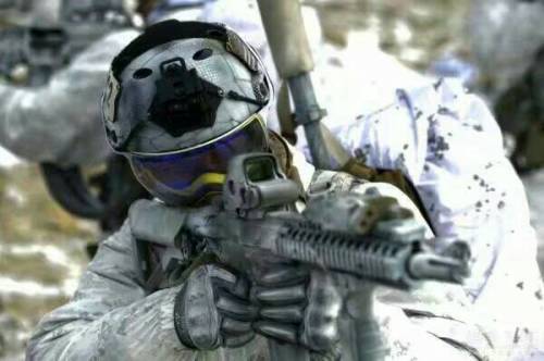 蛟龙突击队与海豹突击队,一场顶尖特战力量的较量——最新结果分析,顶尖特战力量对决,蛟龙突击队与海豹突击队最新结果分析