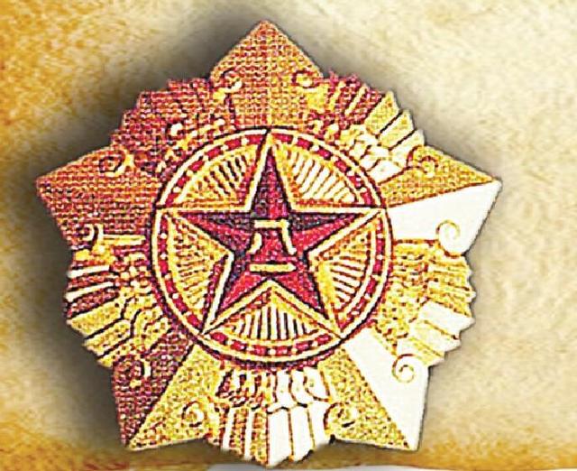 一级八一勋章与工资水平,深入解析与探讨,八一勋章与工资水平,深度解析与探讨