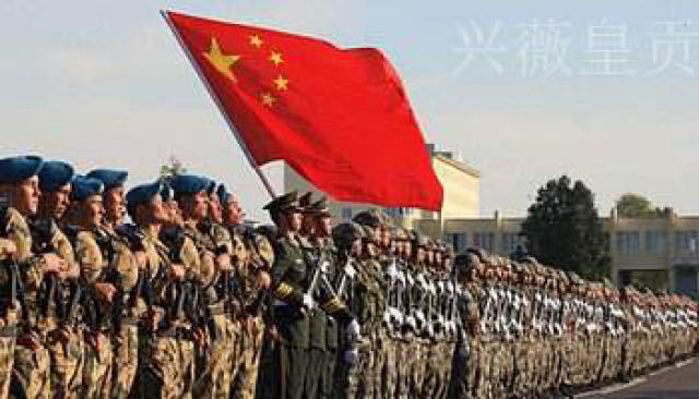 深度探讨与分析