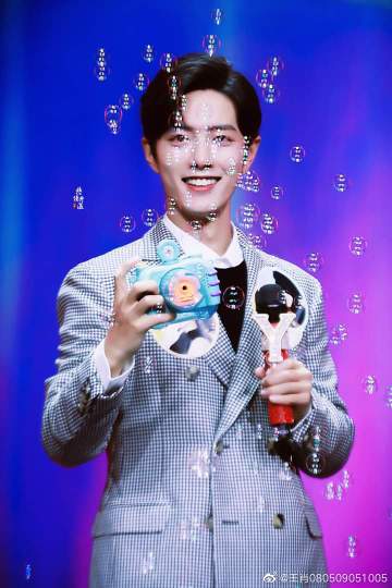 一肖王中王资料详解,一肖王中王资料全面解析