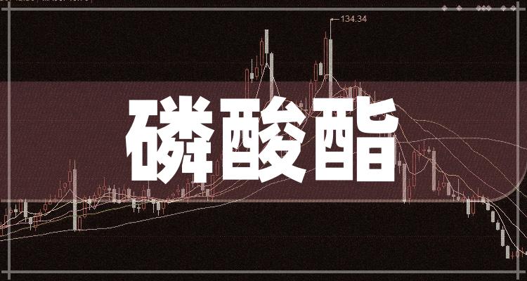 两岸关系发展动态