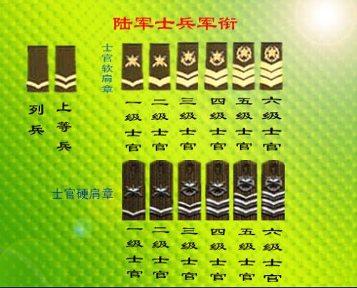 军衔等级的肩章图片,揭示军队等级与荣誉的象征,军衔等级肩章图片解析,军队等级与荣誉的象征