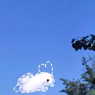 命运之轮神秘面纱探索